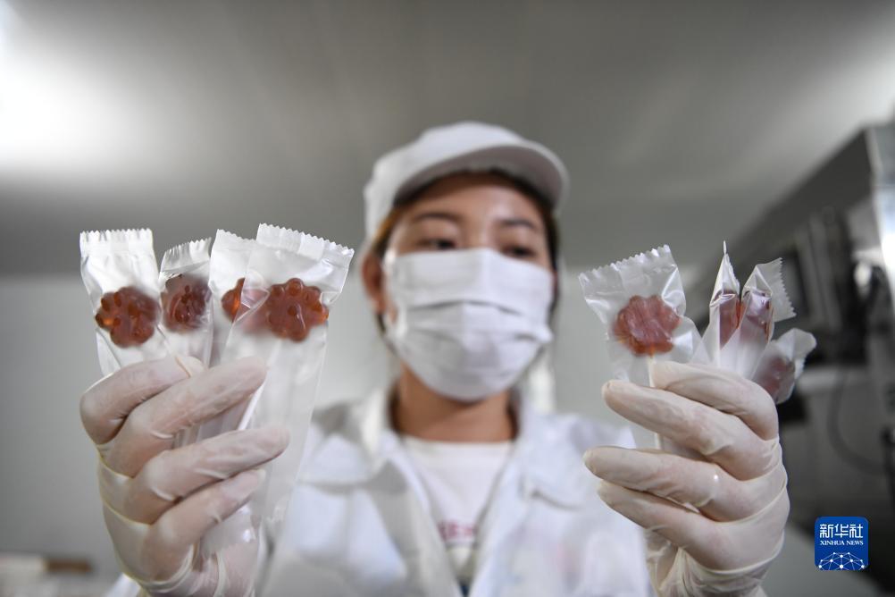 凤凰网电脑版登录
